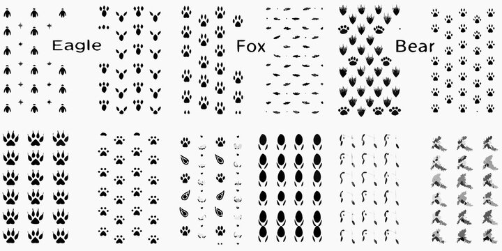 animal footprint silhouettes on white background silhouette eagle fox bear paw track pattern wildlife nature black transparent vector illustration design
