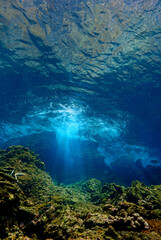 Fototapeta premium Rays of sunlight through the ocean surface. Underwater photo of a dreamlike environment. From a scuba dive.