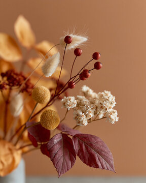 Warm-toned dried flowers in soft bokeh. Red berries contrast with fluffy white blooms. Faded leaves add rustic, autumnal texture. Brown background enhances natural, earthy tones