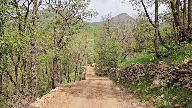 Straight dirt road bordered by a dry stone wall and dense tree canopy leads toward a pointed mountain peak beneath a hazy sky.
📍 Hawraman Takht, Kurdistan, Iran 