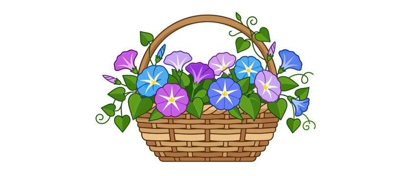 Woven Basket Filled with Colorful Morning Glory Flowers