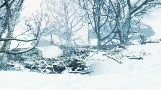 A snow covered scene shows trees with bare branches and a white ground in a forest. The light suggests a cold day with snow lying thick on the ground.