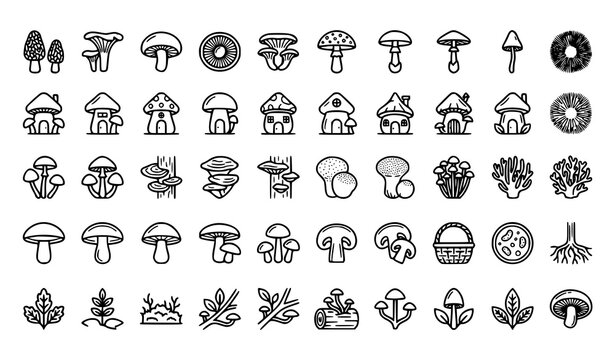Nature Icon Collection with Mushrooms Flowers Trees Plants and Botanical Outline Symbol Set