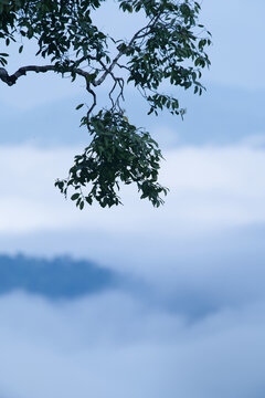 Breathtaking aerial view of misty valleys and lush green tropical rainforest mountains at dawn