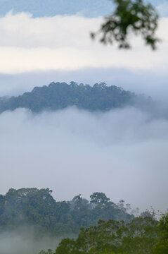 Breathtaking aerial view of misty valleys and lush green tropical rainforest mountains at dawn