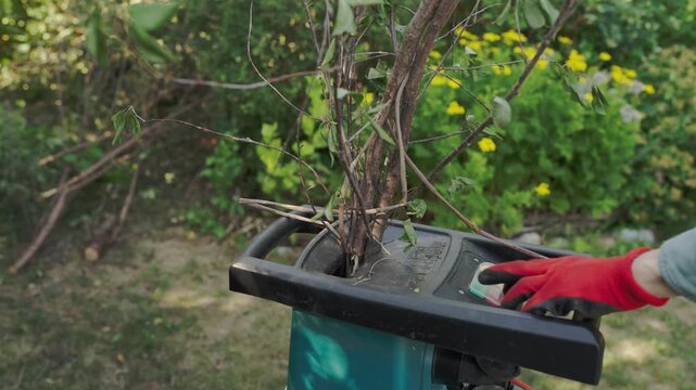 Person wearing red protective gloves attempts to feed tree branches into an electric garden shredder after branches become jammed inside the machine during garden cleanup