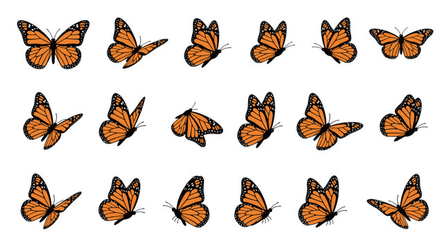 Collection of orange and black monarch butterflies in various flying positions