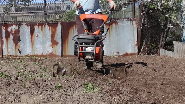 Gardener using motorized cultivator on the plantation. Plowing garden with a motor cultivator before planting potatoes and other crops