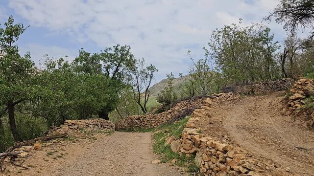 Sunlit dirt road forks into two paths surrounded by abundant trees and low dry stone walls beneath a bright, heavily clouded sky.
📍 Hawraman Takht, Kurdistan, Iran 