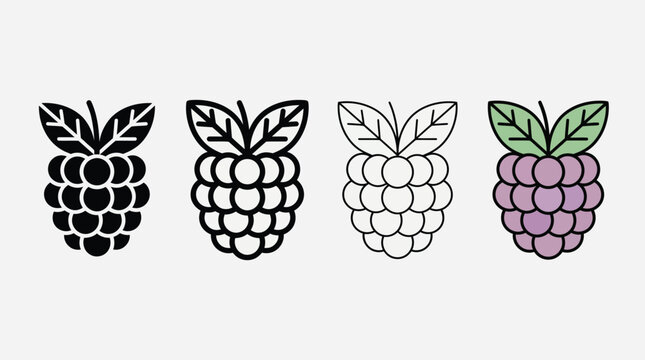Raspberry Fruit Icon Design Evolution Process Illustration