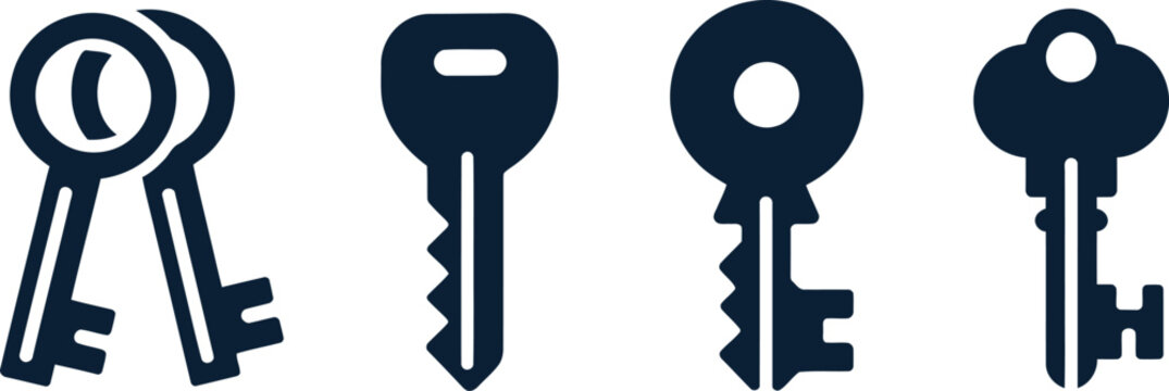 Keys presented in a row of four demonstrate different security access levels and digital.