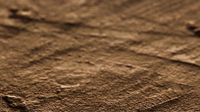 The scene shows a textured surface with distinct markings. The ground appears dry and worn, indicating usage over time. Natural elements might be present nearby, suggesting an outdoor environment.