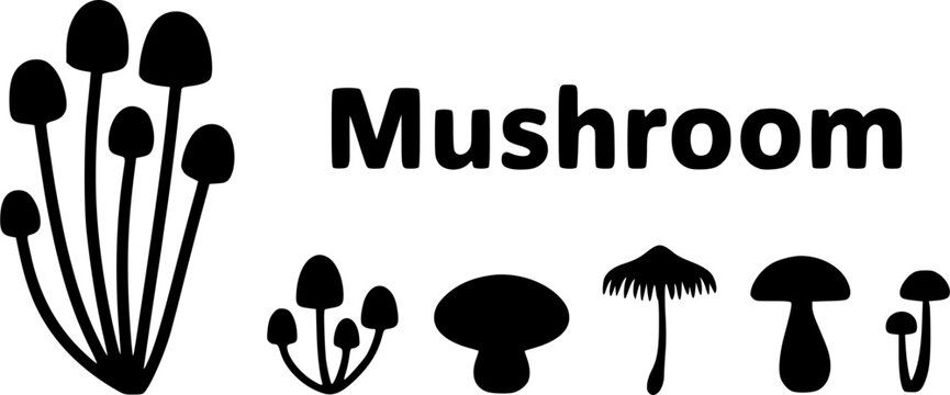 Vector silhouette illustration of a large growing cluster of wild enoki or psilocybin shrooms with long thin stems, isolated on a white background.