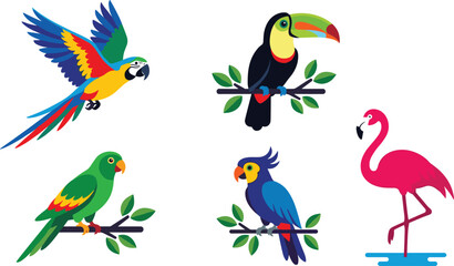 Colorful tropical birds collection vector illustration featuring exotic parrot toucan flamingo and macaw set © Zinnah