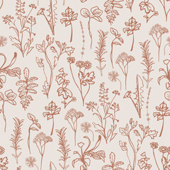 Fototapeta premium Herbarium vintage Botanicals 