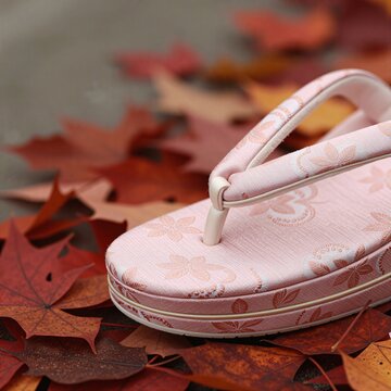 Zori sandal thong close-up on bed of fallen leaves