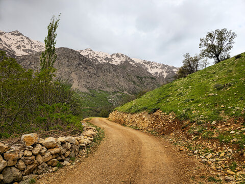 Curving dirt road bordered by a dry stone wall, green grassy slopes, trees, and snow-streaked mountains under an overcast sky.
📍 Hawraman Takht, Kurdistan, Iran 