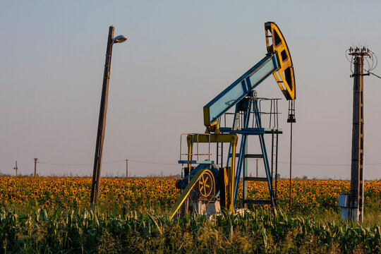 Oil pump operating in an oil field in Eastern Europe, surrounded by sunflower fields