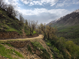 Obraz premium Curving dirt road along a mountainside, lined with dry stone walls, budding trees, distant snow-capped peaks, and a blue sky with scattered clouds. 📍 Hawraman Takht, Kurdistan, Iran 