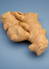 Fototapeta premium Fresh ginger root on a blue background in a simple display