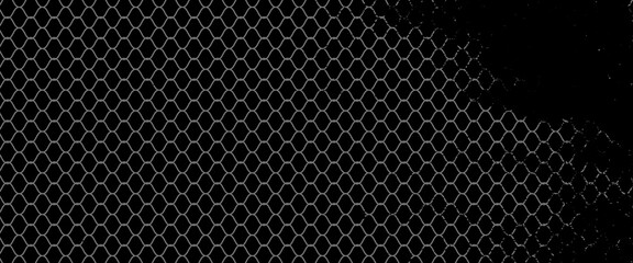 Net texture pattern on white background. Net texture pattern for backdrop and wallpaper. Realistic net pattern with black squares. Geometric background, vector Eps10 © aril