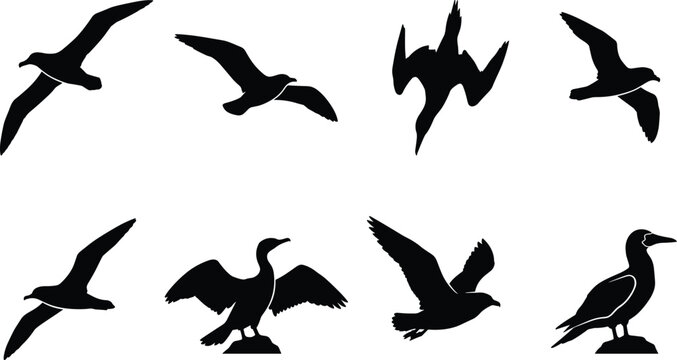 Flying seabirds and coastal water birds vector silhouettes bundle featuring seagull cormorant gannet and albatross isolated icons
