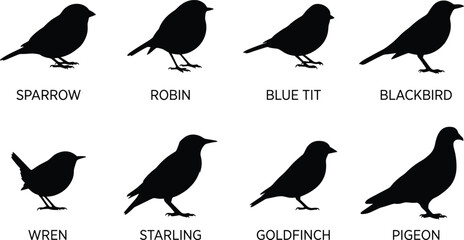 Garden bird silhouette icon collection featuring black vector shapes of sparrow robin blue tit blackbird wren starling goldfinch and pigeon © MdMehedi