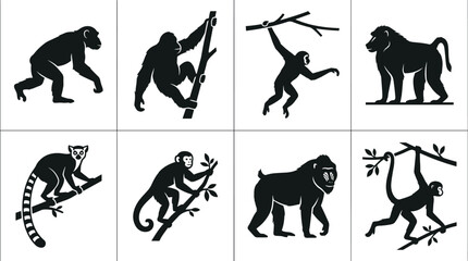 Monkey and primate species vector silhouettes bundle featuring chimpanzee gorilla baboon and lemur icons isolated on white background © MdMehedi