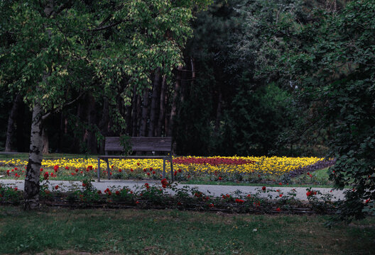 view of an empty park bench against the background of a flowerbed with yellow and red flowers