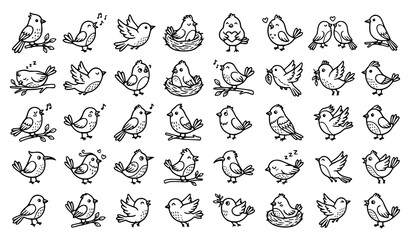 Obraz premium Hand Drawn Cute Bird Doodle Outline Vector Collection in Black and White