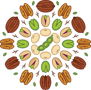 Mixed Nuts Mandala Collection with Pistachios Pecans Walnuts Peanuts Edamame Seeds and Decorative Circular Healthy Food Vector Illustration Set