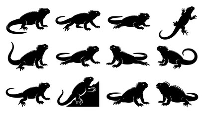 Obraz premium Marine Iguana Silhouette Vector Collection for Wildlife and Nature Design