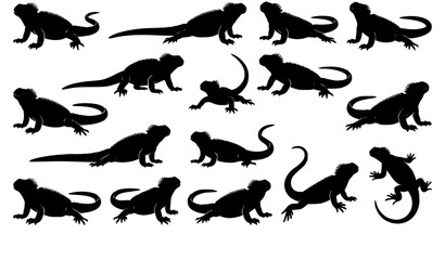 Obraz premium Realistic Marine Iguana Silhouette Bundle Vector Illustration Collection