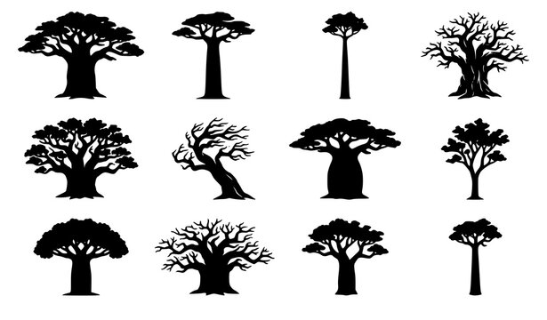 African Baobab Tree Silhouette Vector Collection for Nature and Travel