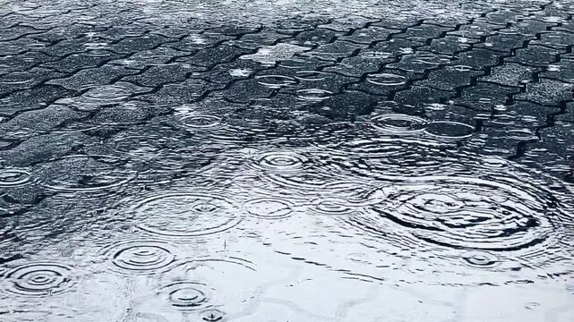 雨、雫、波紋、水たまり