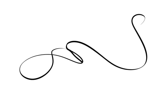 Elegant black squiggle line art on white background.