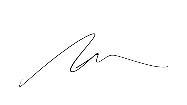 Elegant handwritten signature on white background.