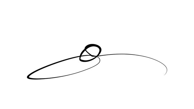 Elegant handwritten signature on white background.
