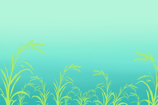 Illustration of a rice field landscape, with a design featuring light green rice plants with a green to light blue gradient background.