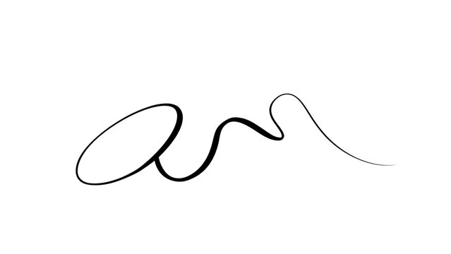 Elegant cursive ampersand symbol white background.
