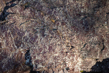 Fototapeta premium Close-up view of textured rock surface with intricate patterns and colors