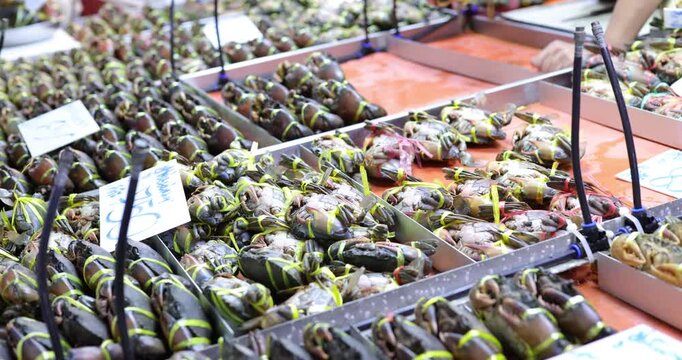 Raw food sea crab sell in traditional local market Bangkok Thailand