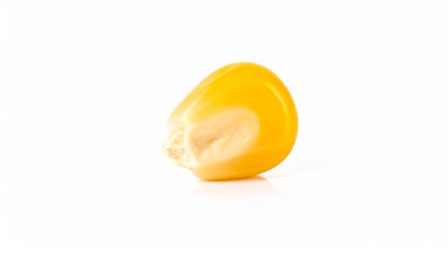 On a white background, a single corn kernel glows, symbolizing growth, simplicity, and vitality.
