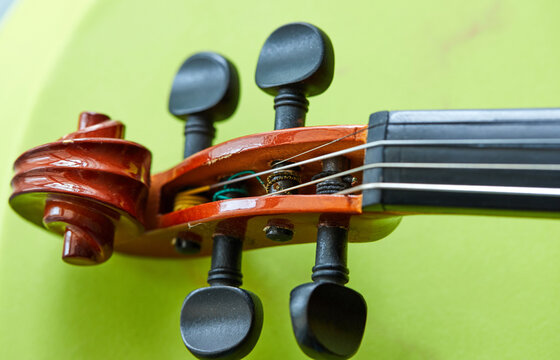 Violin head on green background - abstract music concept