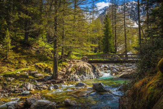 Clean mountain river in Mercantour National Park, Alpes-Maritimes, France