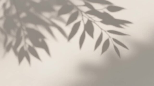 Ultra realistic botanical leaf shadow overlay sways across a neutral background in natural sunlight, creating a premium seamless video overlay with elegant organic movement and cinematic realism.