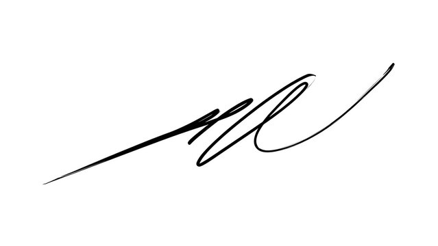 Elegant cursive signature on white background.