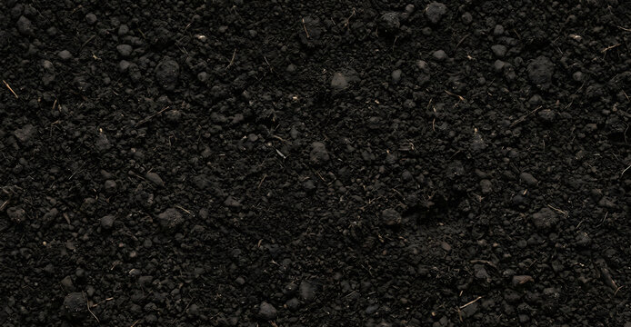 Rich black fertile soil texture background for agriculture