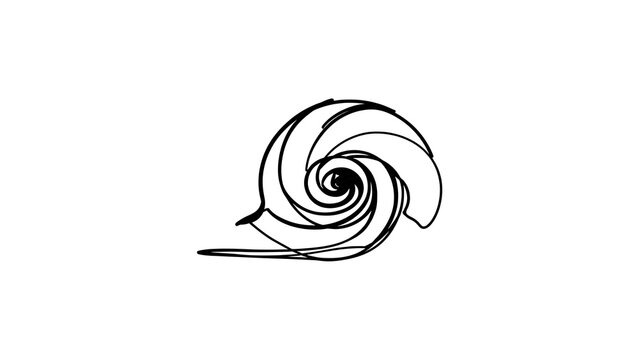Minimalist snail shell spiral line art white background.