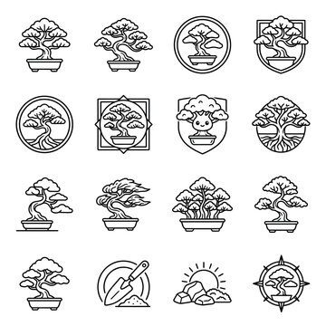 Bonsai trees in various designs.